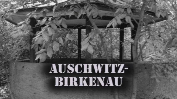 Video still from Watchtower by Bo G Svensson