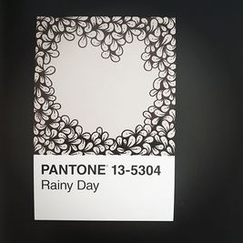 Pantone6
