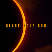 Black Hole Sun