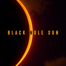 Black Hole Sun