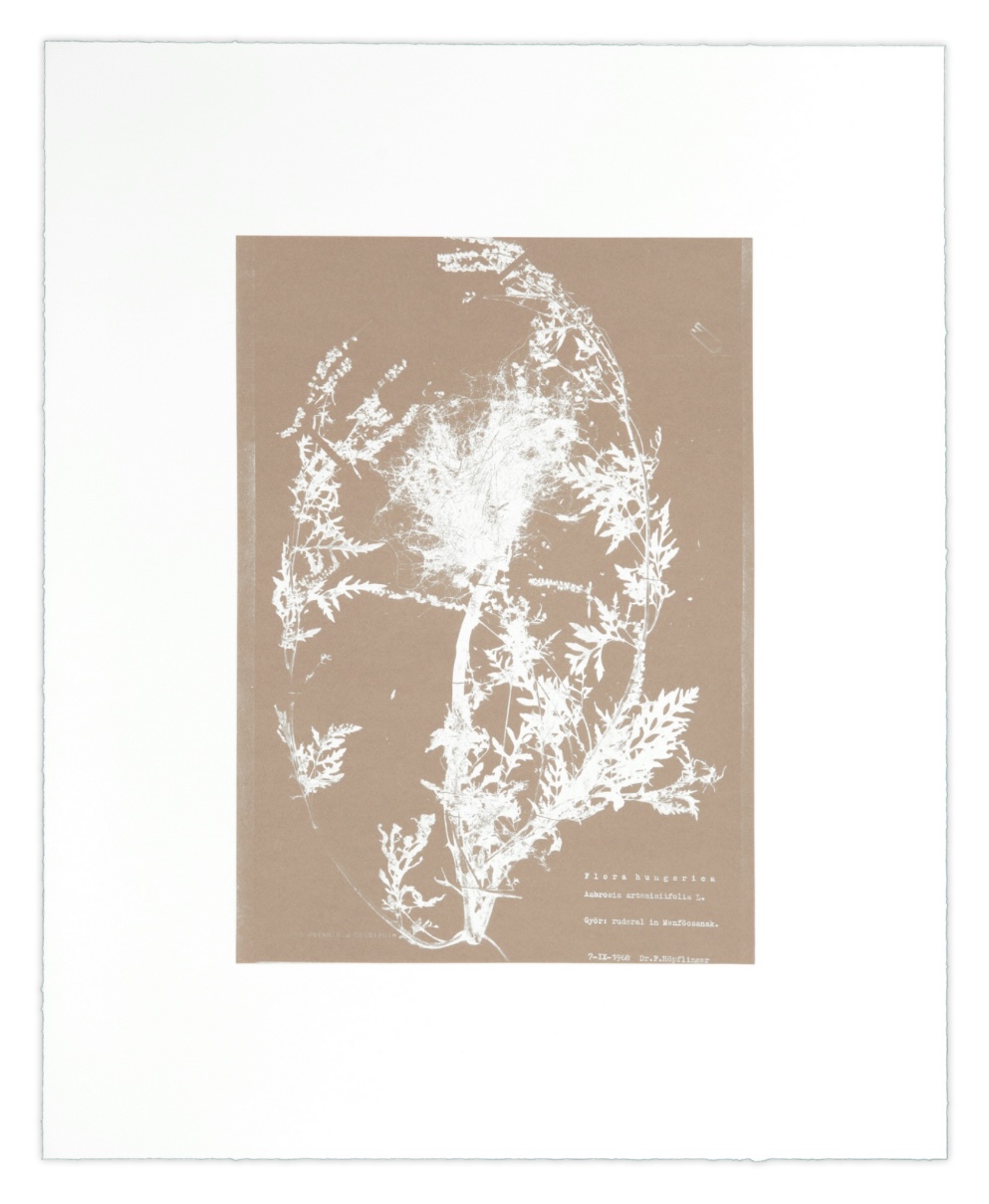 Nicolai Howalt, 'Herbarium (V)'