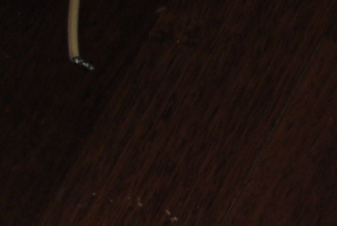 Inside of ripol