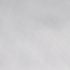shutterstock_1915266292