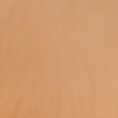 shutterstock_1938059953