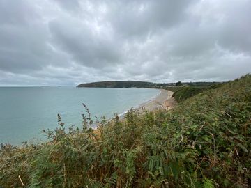 C-NWIMG_0578