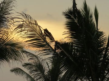 C5F677EE-74E0-403D-91EC-457A132FB14F_1_105_c