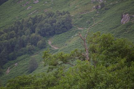 D3 Glen Nevis (7)