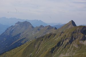IMGP0325