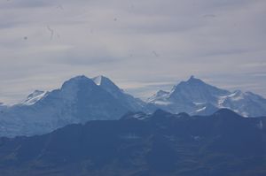 IMGP0327