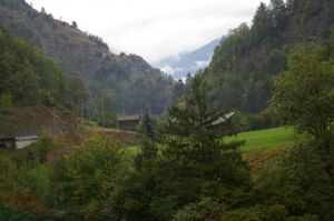 IMGP0877