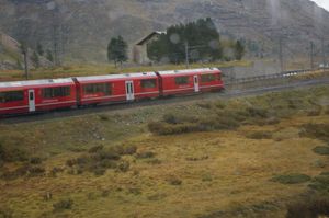 IMGP1144