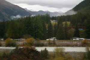 IMGP1299
