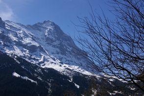 IMGP1681