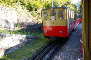 IMGP9936