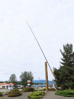 IMG_0041
