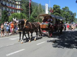 IMG_0061
