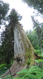IMG_0147