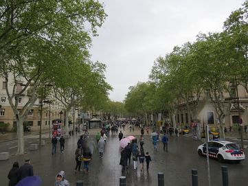 IMG_0220Barca