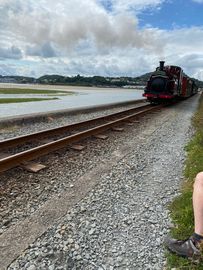 IMG_0590