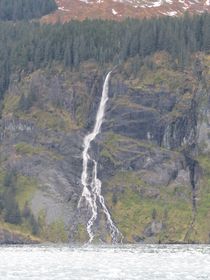 IMG_0835
