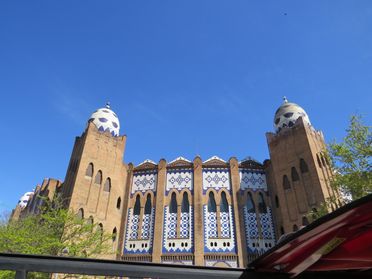 IMG_1343