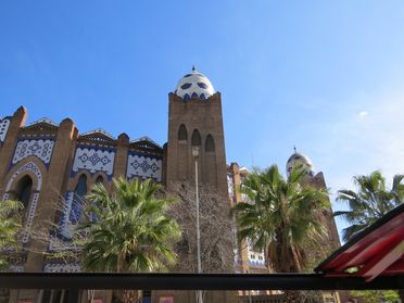IMG_1344