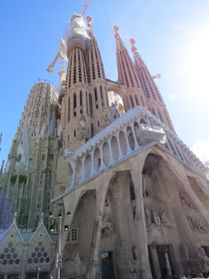 IMG_1351