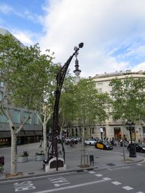 IMG_1559