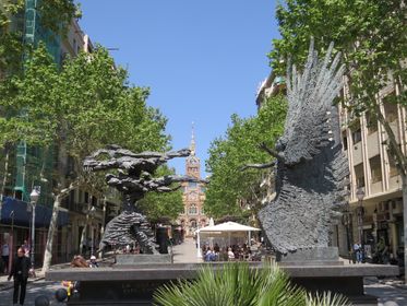 IMG_2248Barca