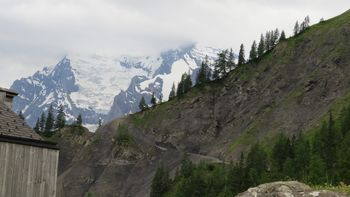 IMG_2383