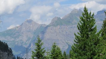 IMG_2445