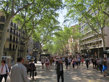 IMG_2502Barca
