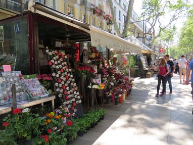 IMG_2531Barca