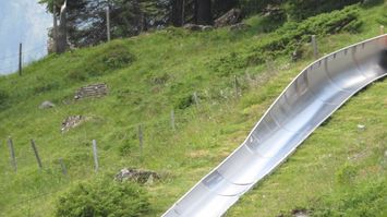 IMG_2645