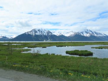 IMG_3120