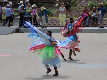 IMG_3494