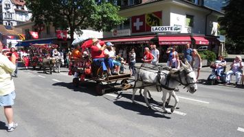 IMG_3787