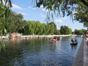 IMG_4250
