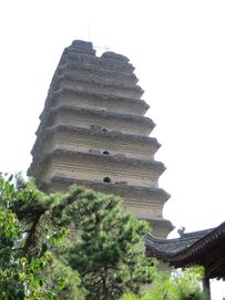 IMG_4895
