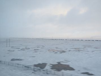 IMG_5263