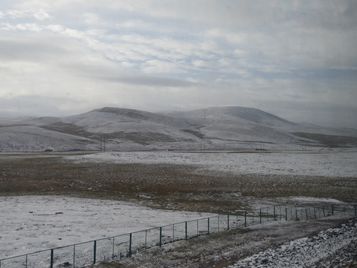 IMG_5290