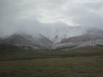 IMG_5344