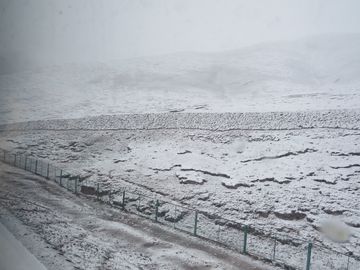 IMG_5368
