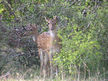 IMG_5656