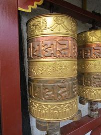 IMG_5681