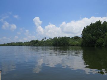 IMG_5903