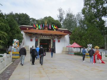 IMG_5985T