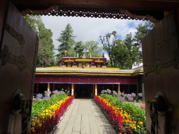 IMG_6008