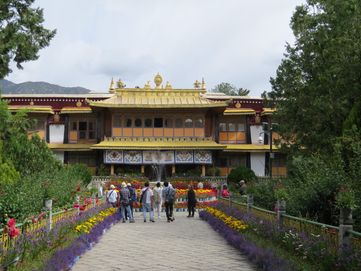 IMG_6021