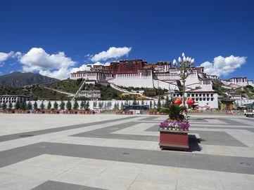 IMG_6152